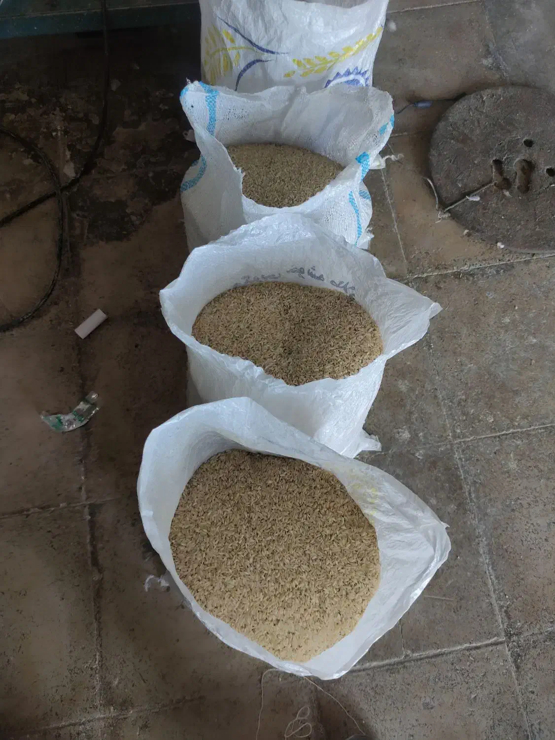 برنج چمپا|خوردنی و آشامیدنی|یاسوج, |دیوار