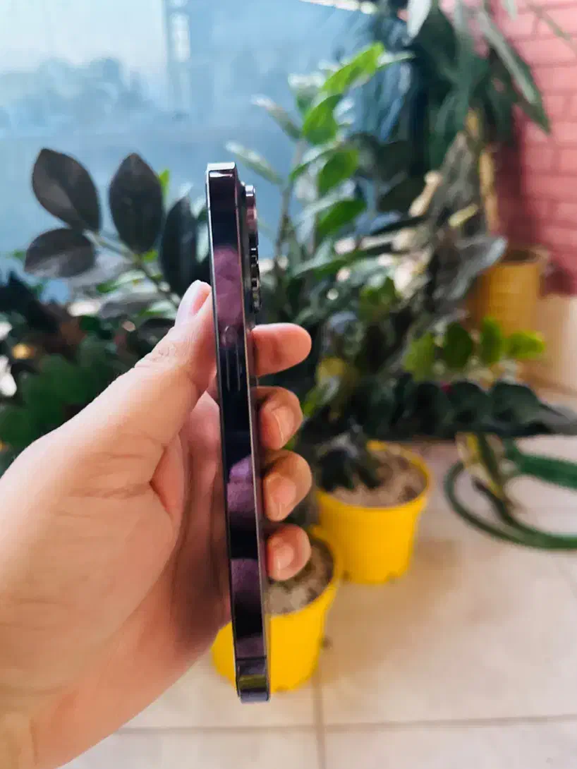 آیفون ۱۴ پرو رجیستر شده دو سیم کارت|موبایل|کرمان, |دیوار