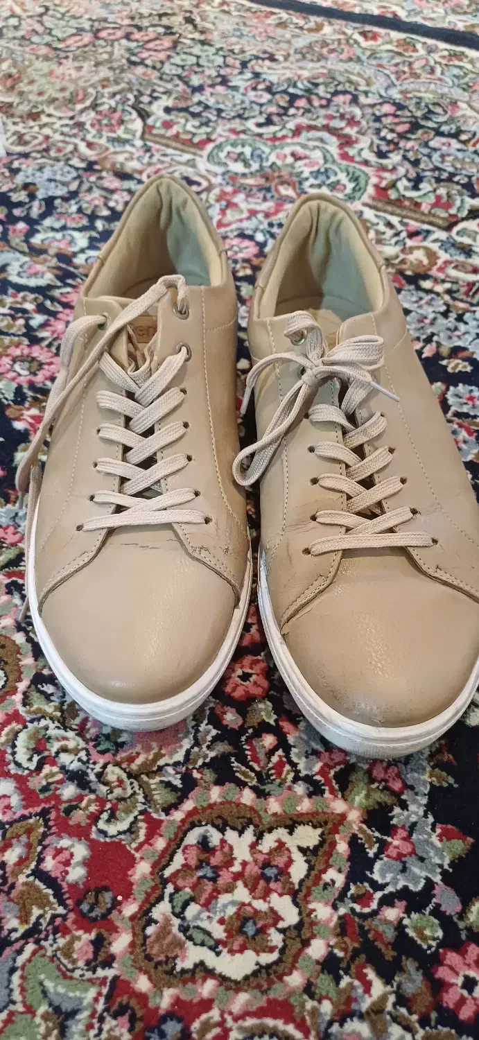 کفش اداری برشکا|کیف، کفش، کمربند|بروجرد, |دیوار