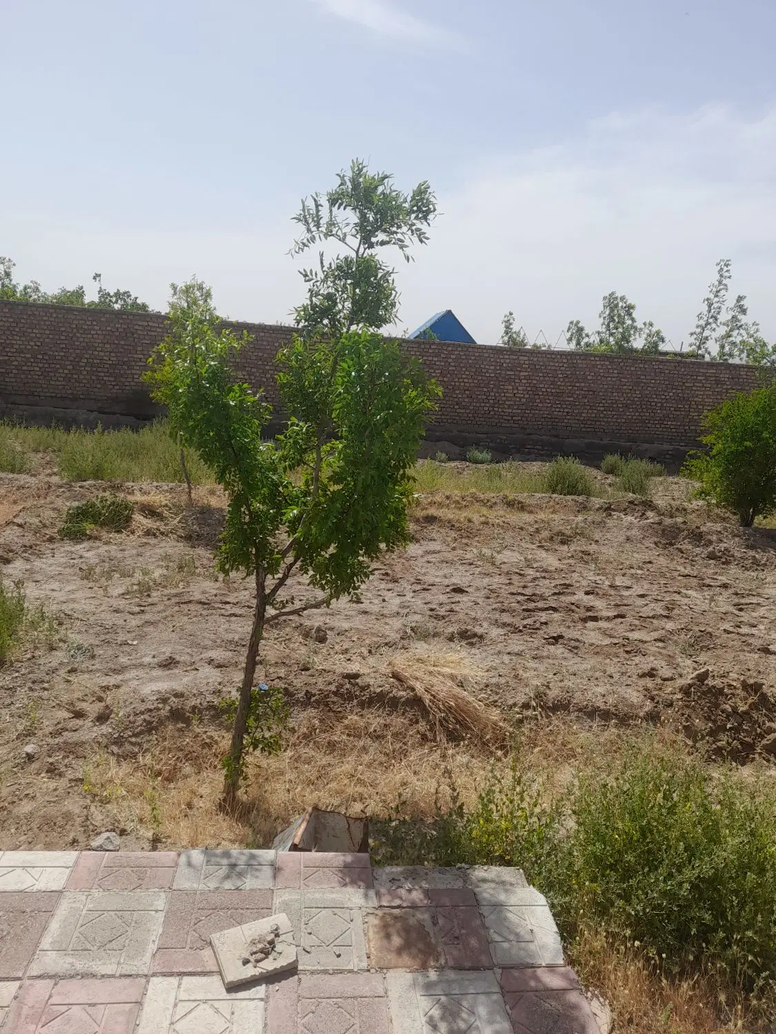 تصویر 12