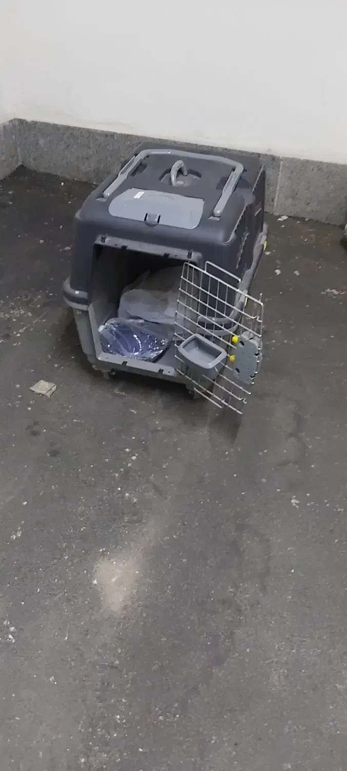 باکس حمل پت|لوازم جانبی حیوانات|تهران, شهرک آتی شهر|دیوار