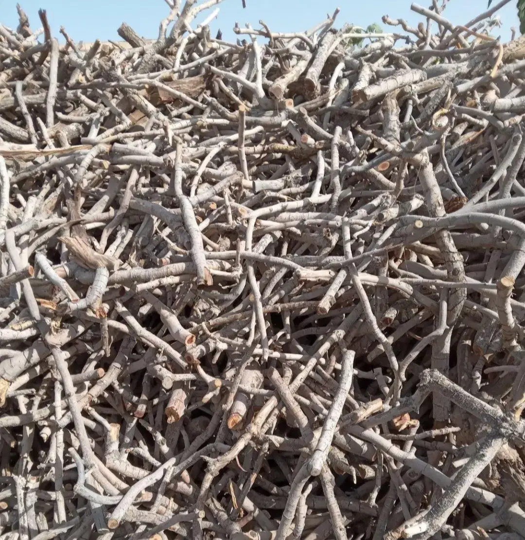 چوب پسته فروشی|خدمات باغبانی و درختکاری|رفسنجان, |دیوار