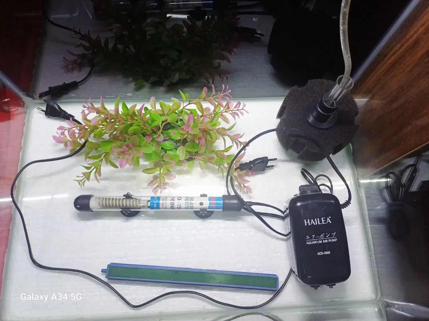 اکواریوم خم سایز۶۰×۵۰×۴۵بالوازم|ماهی|اردبیل, |دیوار