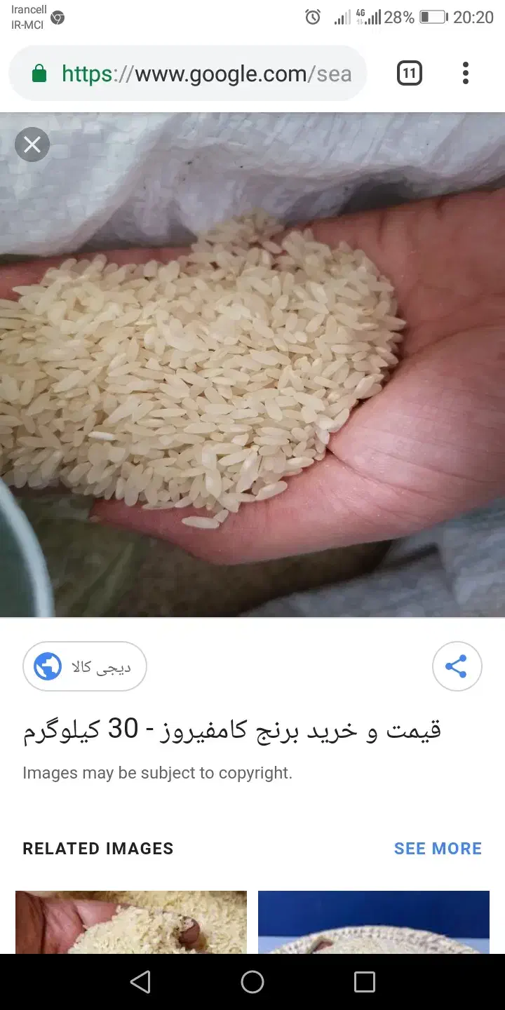 برنج کامفیروزی|خوردنی و آشامیدنی|مرودشت, رامجرد یک|دیوار