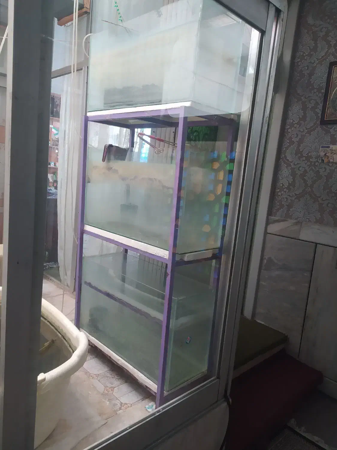 فروش ویژه پایه وآکواریوم برای شب عید|ماهی|خمینیشهر, |دیوار