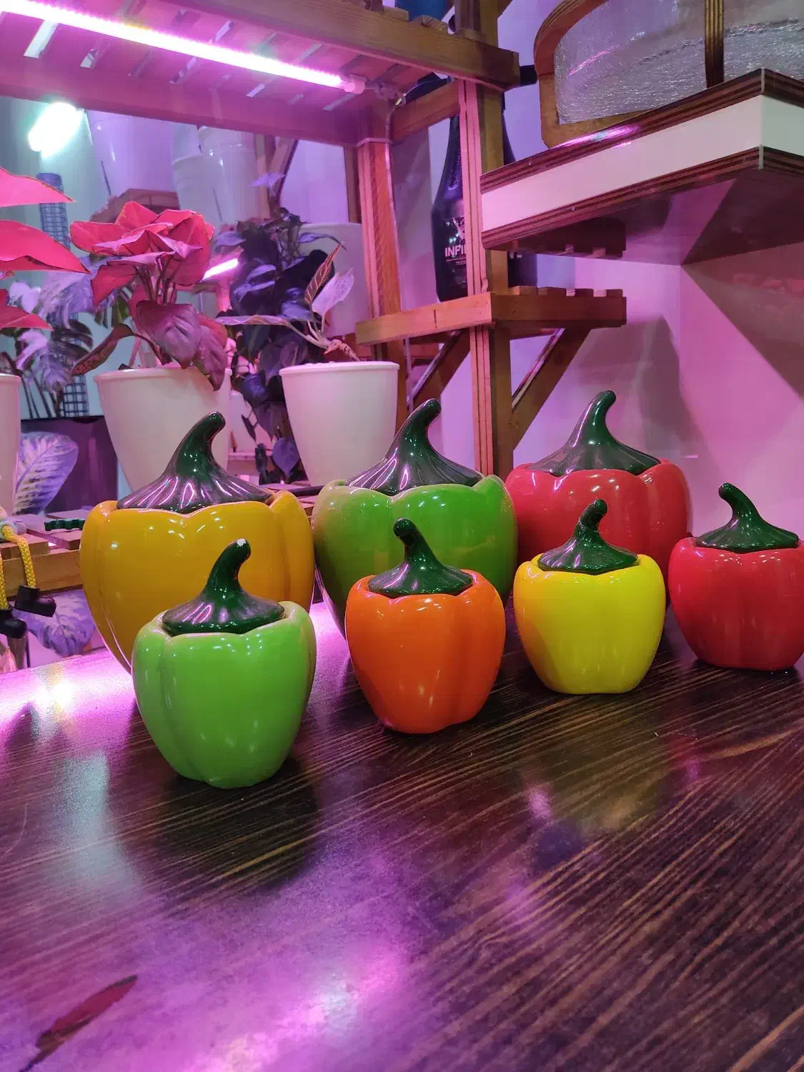 جا ادویه|ظروف نگهدارنده، پلاستیکی، یک‌بارمصرف|تهران, مسعودیه|دیوار