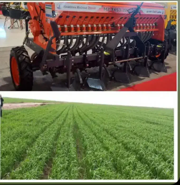 کشت جو و گندم در خدمت کشاورزان|خدمات باغبانی و درختکاری|نیشابور, شریعتی|دیوار