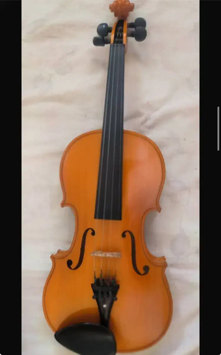 ویولون رودریچ پزولد آلمان (حرفه ای)|ویولن|تهران, صادقیه|دیوار