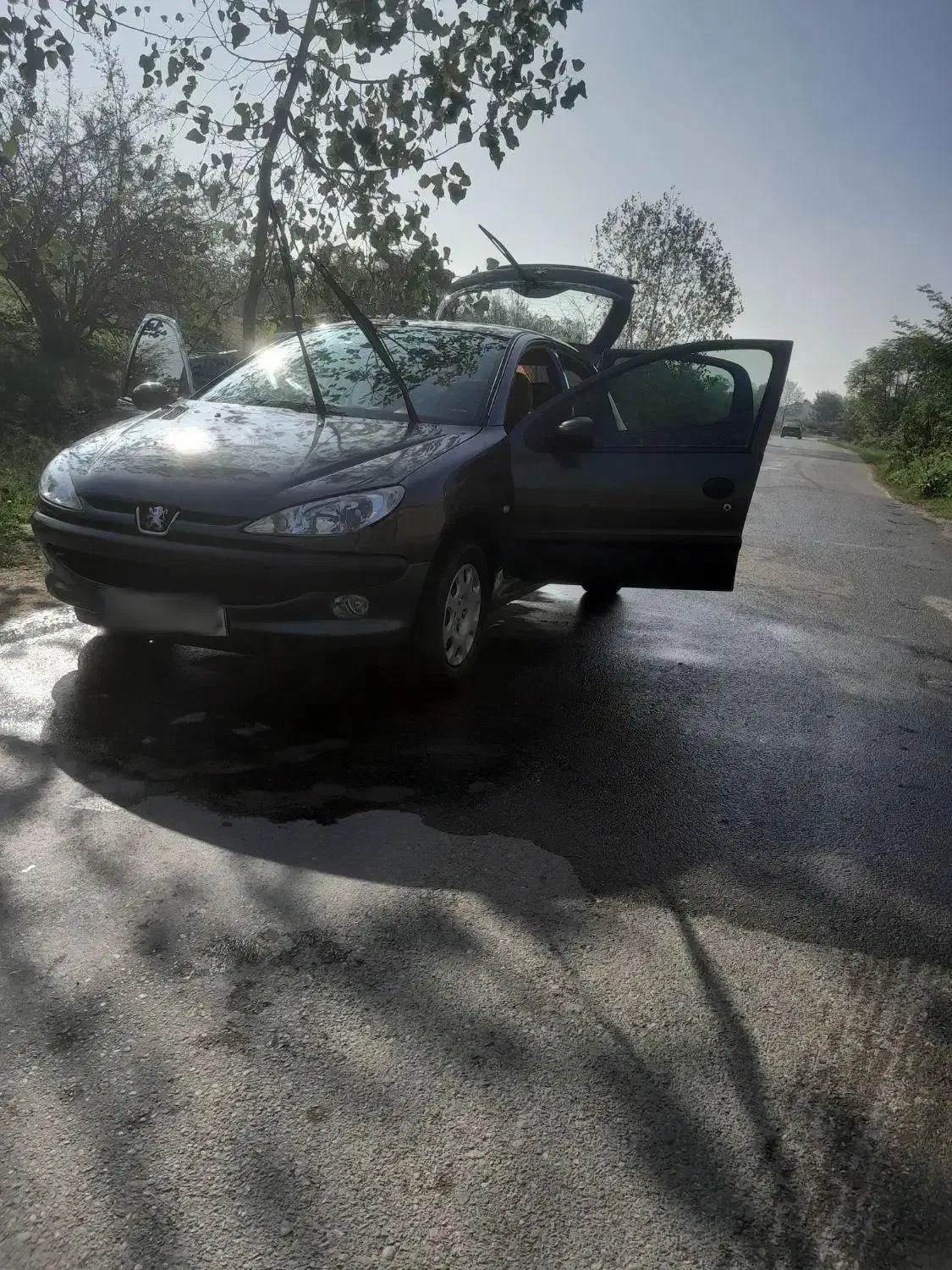 تیپ دو ۲۰۶ سبز انگوری|خودرو سواری و وانت|شفت, |دیوار