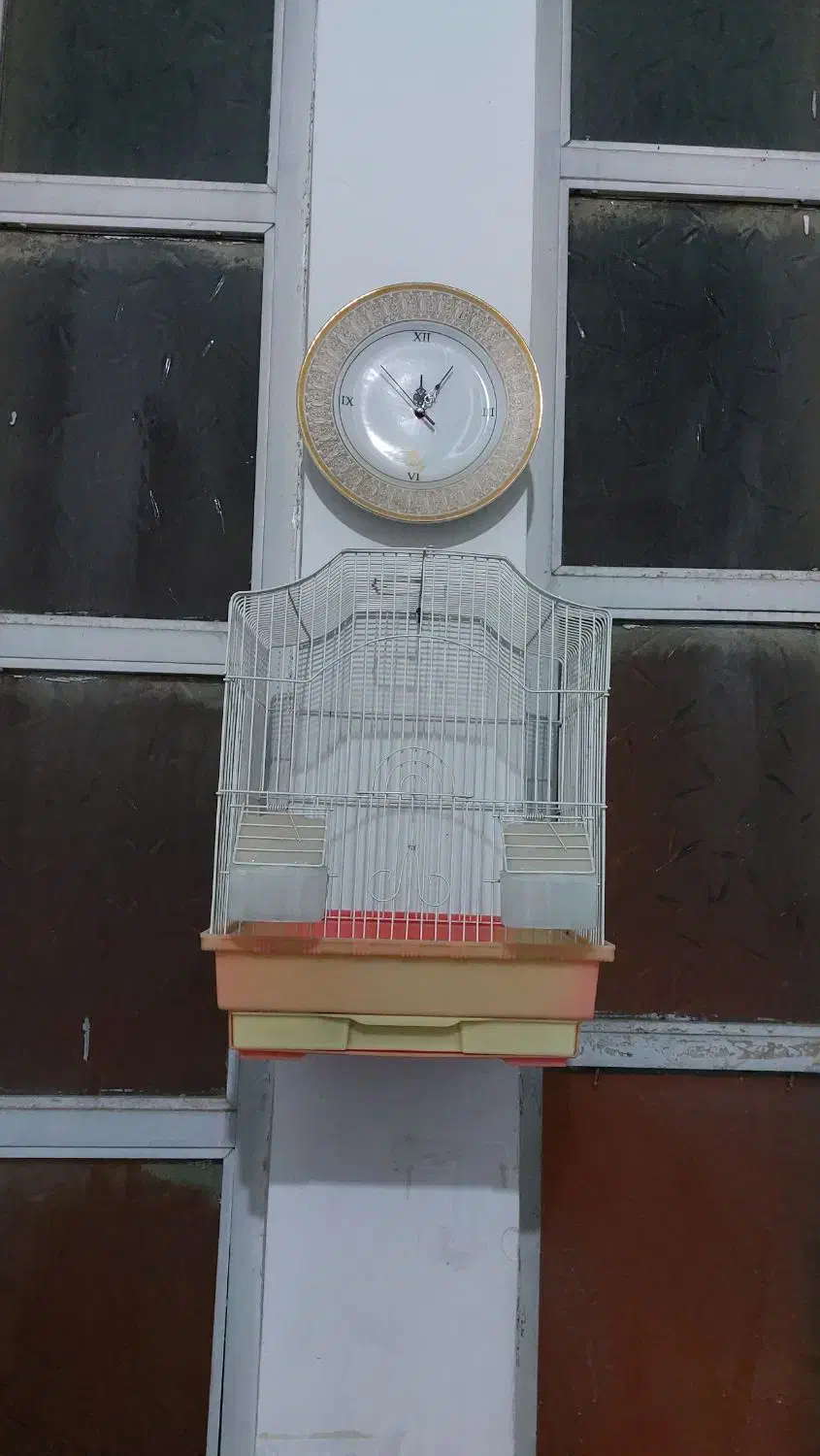 یک عدد قفس قناری با همه وسائل|لوازم جانبی حیوانات|قم, خندق|دیوار