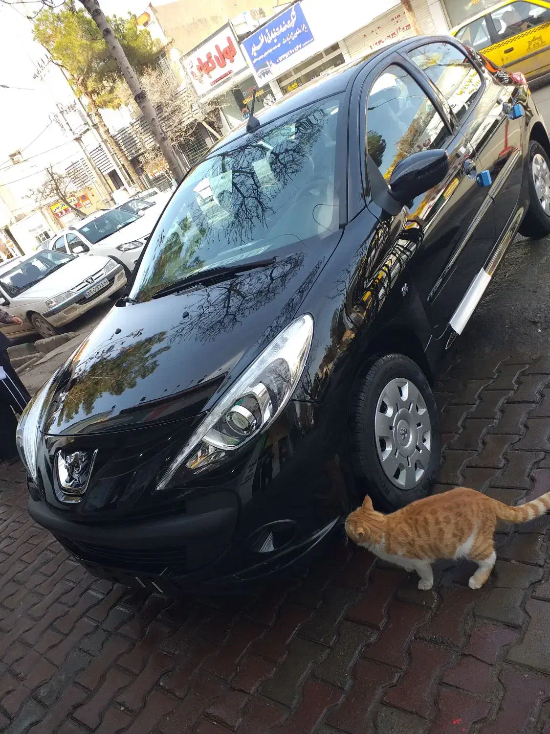 207tu3|خودرو سواری و وانت|سبزوار, سیادتی|دیوار