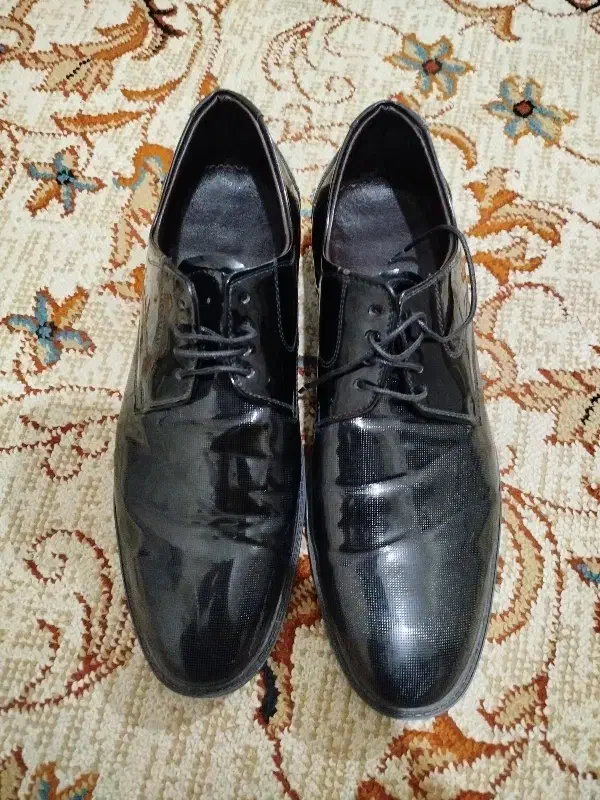 کفش|کیف، کفش، کمربند|پاکدشت, حصار امیر|دیوار