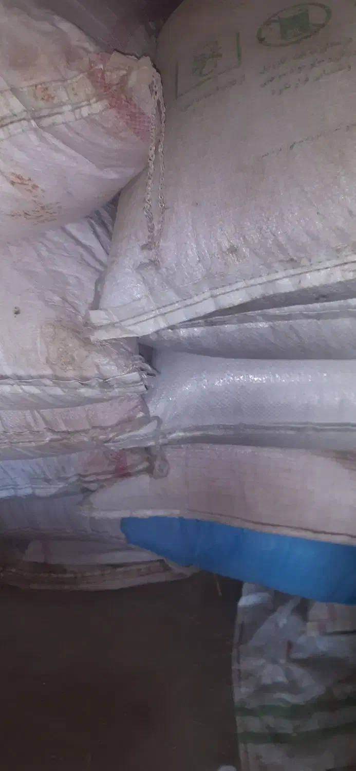 گندم قیمت مناسب تمیز بذردیم آماده کشت|لوازم جانبی حیوانات|چنگ الماسی, |دیوار