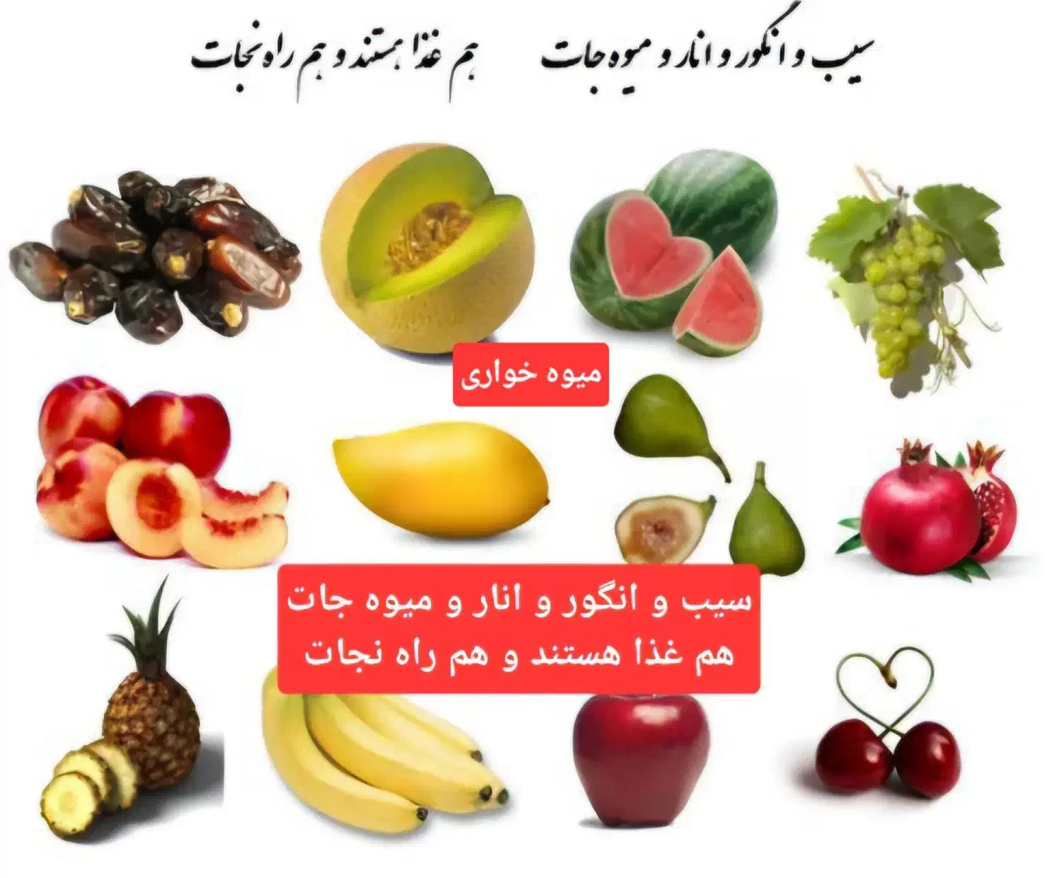مشاور رایگان در مورد درمان بیماریها با میوه خواری|فعالیت داوطلبانه|بجنورد, |دیوار