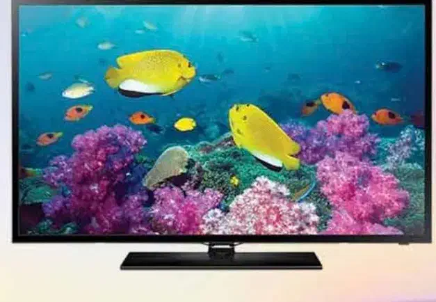 تلویزیون|تلویزیون و پروژکتور|بوشهر, |دیوار