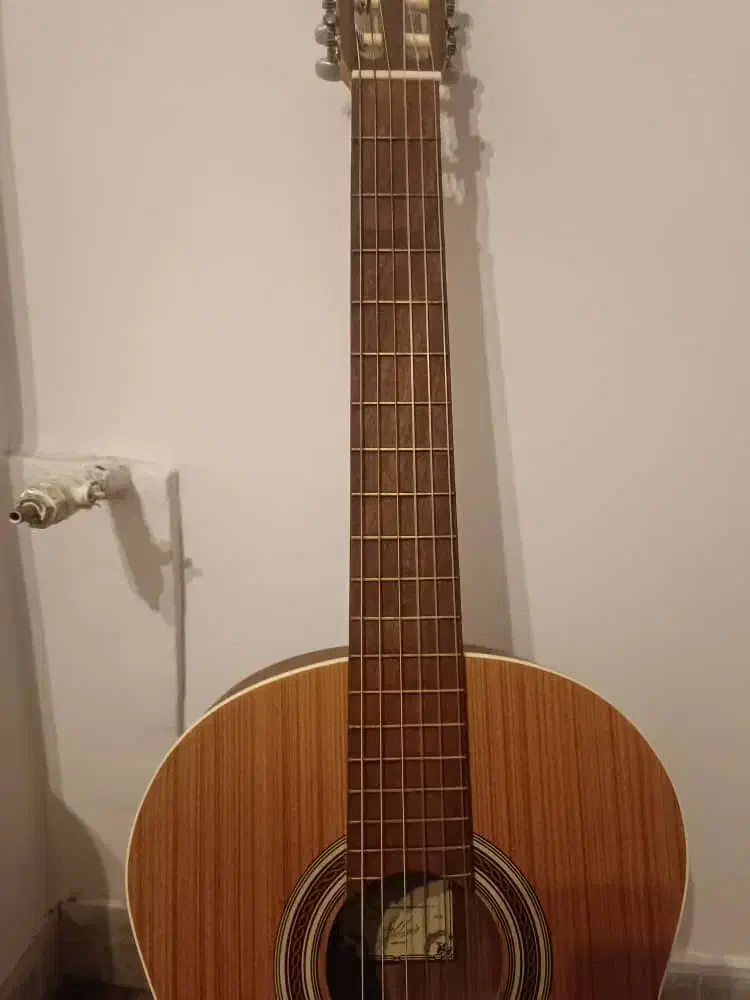 گیتار پارسی m5|گیتار، بیس، امپلیفایر|شیراز, دکتر حسابی|دیوار