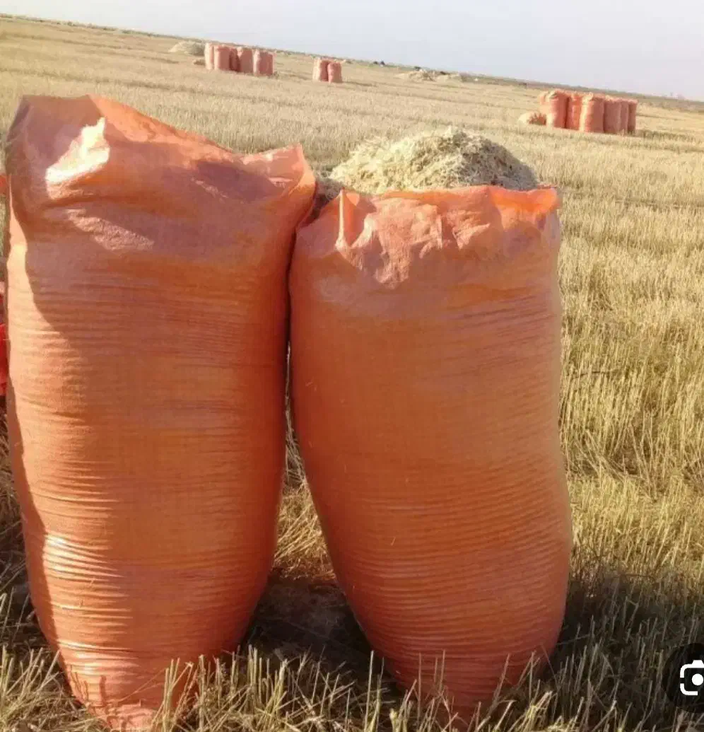 کاه کندم نرم کیسه|لوازم جانبی حیوانات|فردوس (خراسان), |دیوار