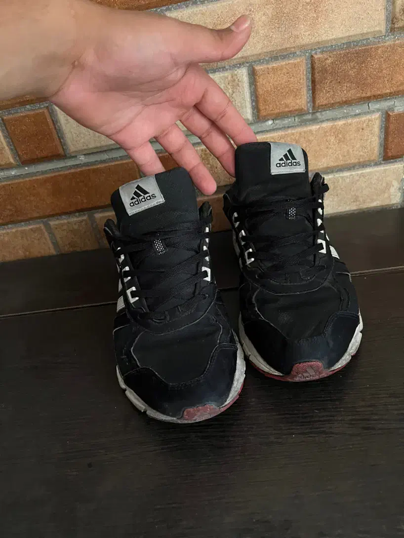 Zxکتونی اکومنت ۱۰ سایز ۴۲|کیف، کفش، کمربند|تهران, گلچین|دیوار