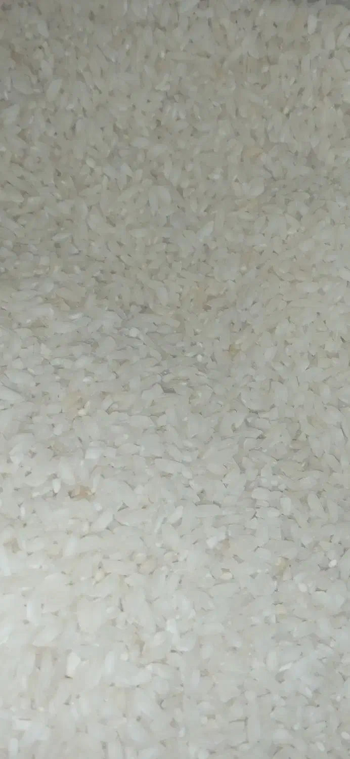 برنج عنبربو ایرندگان تازه و خوشعطر|خوردنی و آشامیدنی|ایرانشهر, |دیوار