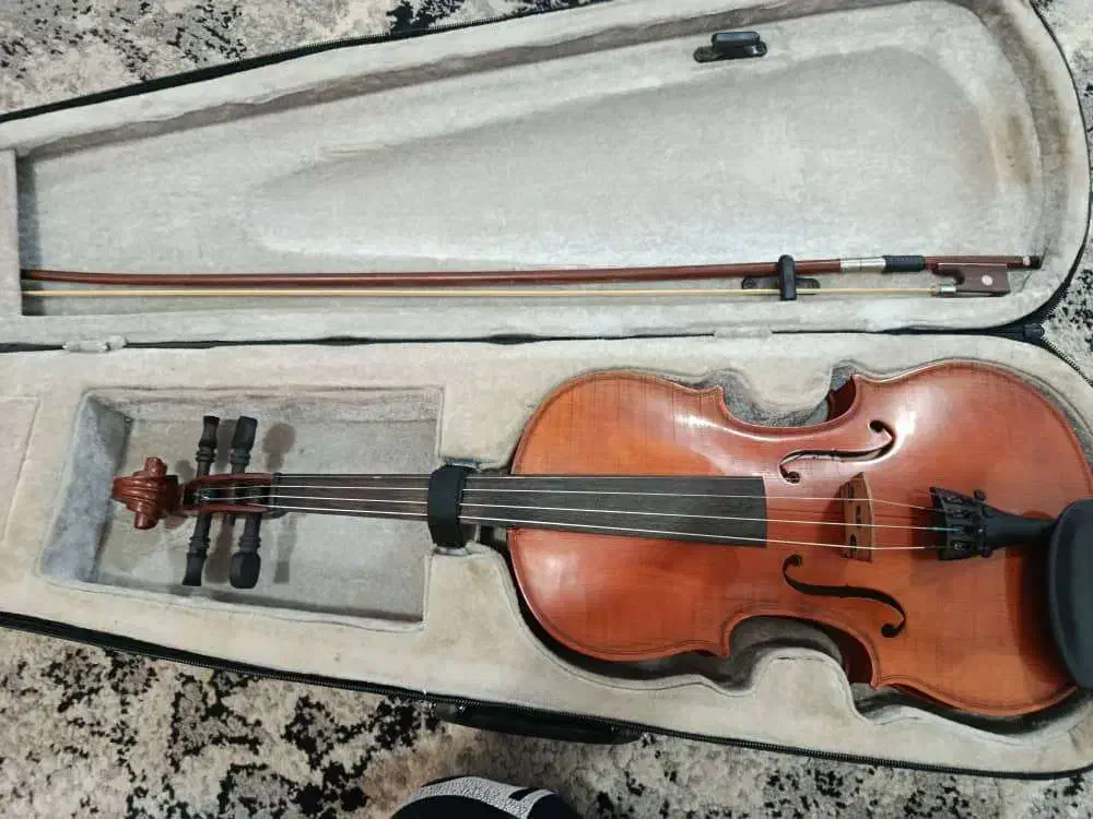 ویالون|ویولن|آبادان, |دیوار