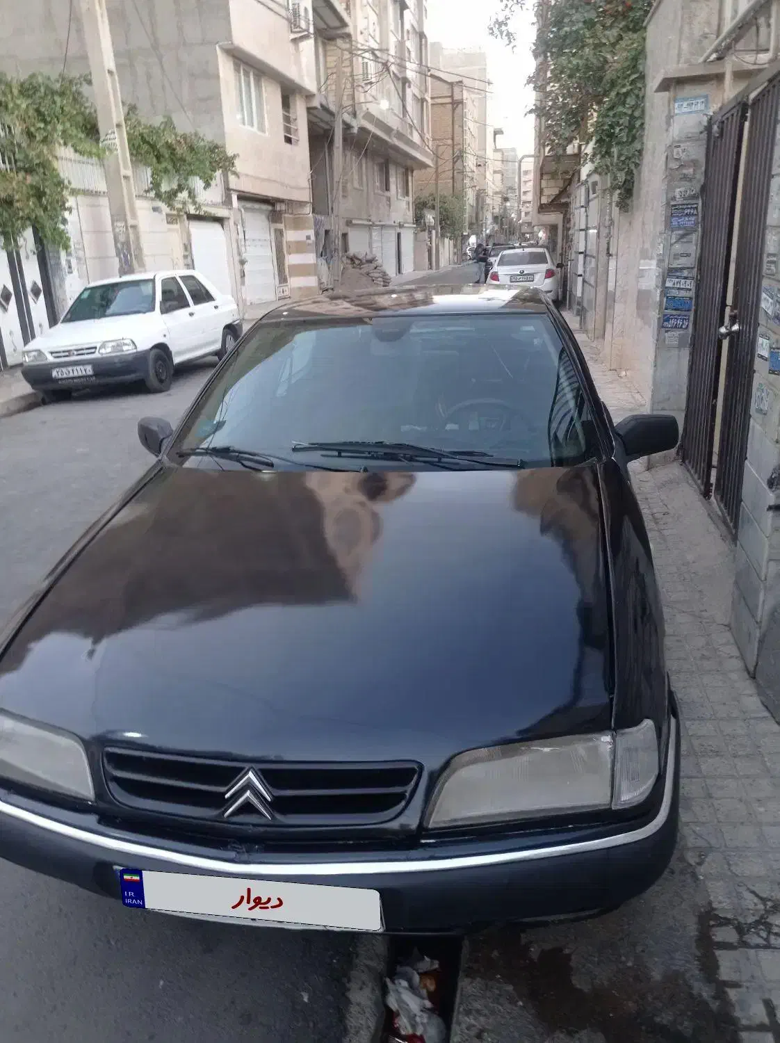 زانتیا مدل 1381|خودرو سواری و وانت|اردبیل, |دیوار