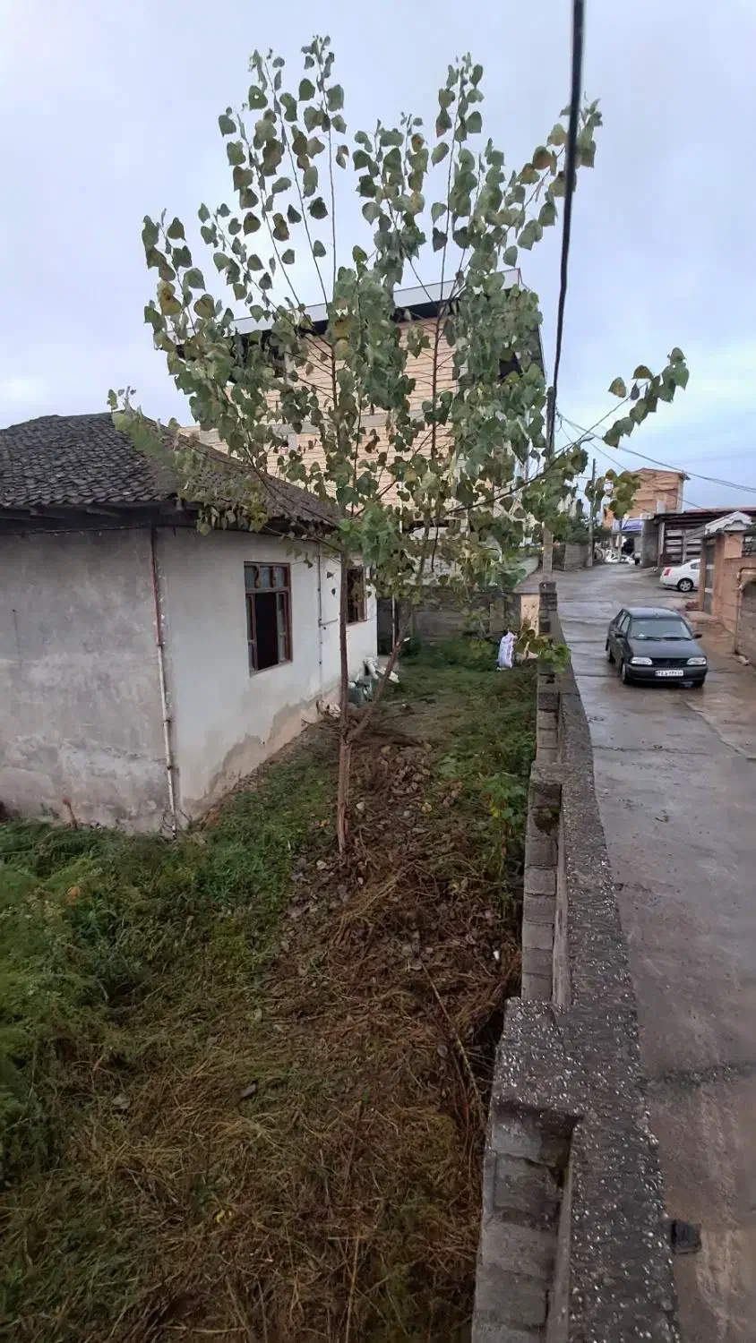 فروش زمین و ویلای کلنگی|فروش زمین و ملک کلنگی|تالش, هشتپر|دیوار