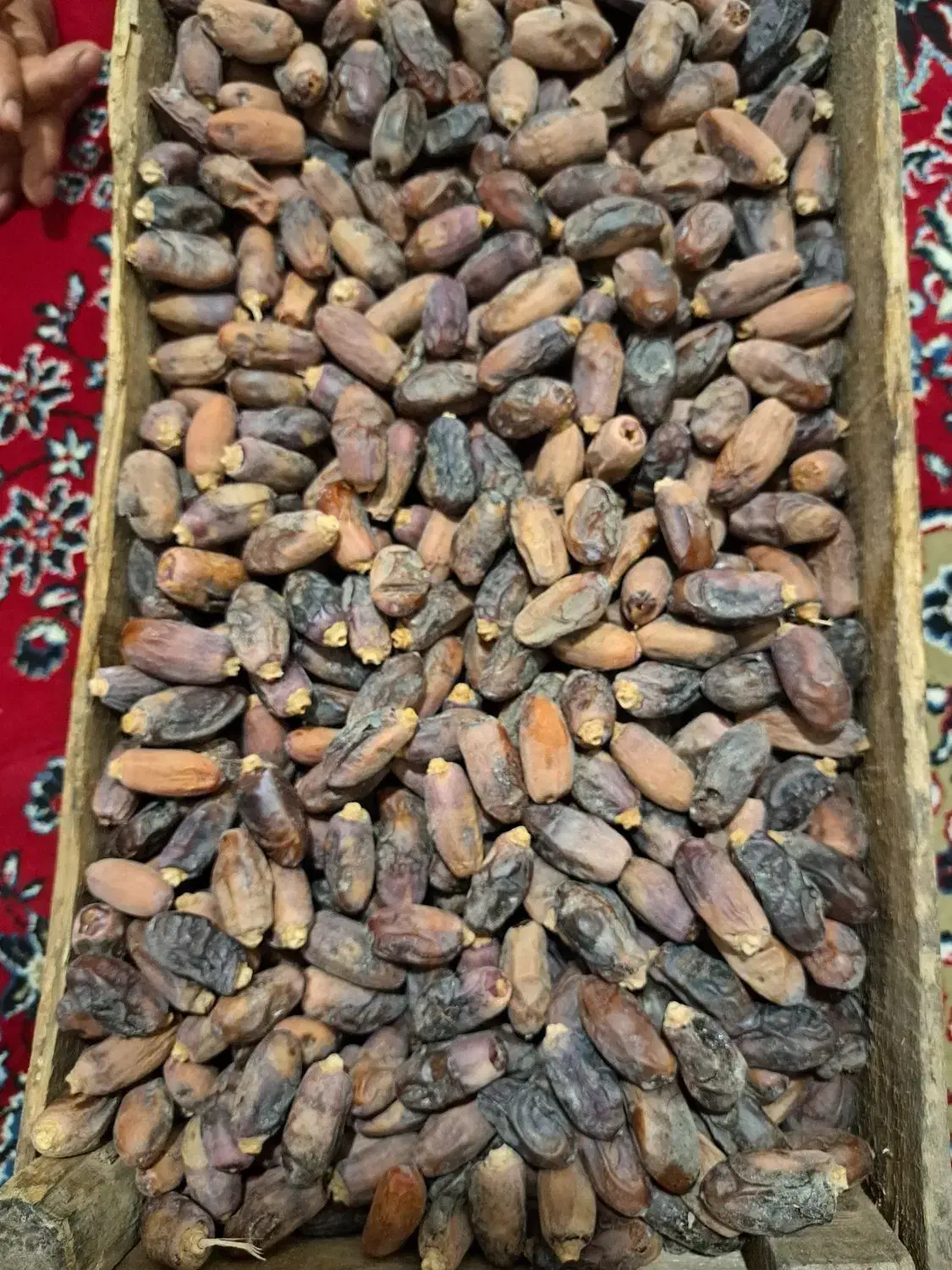 فروش  خرماء دیری   موجود|حراج|کارون, |دیوار