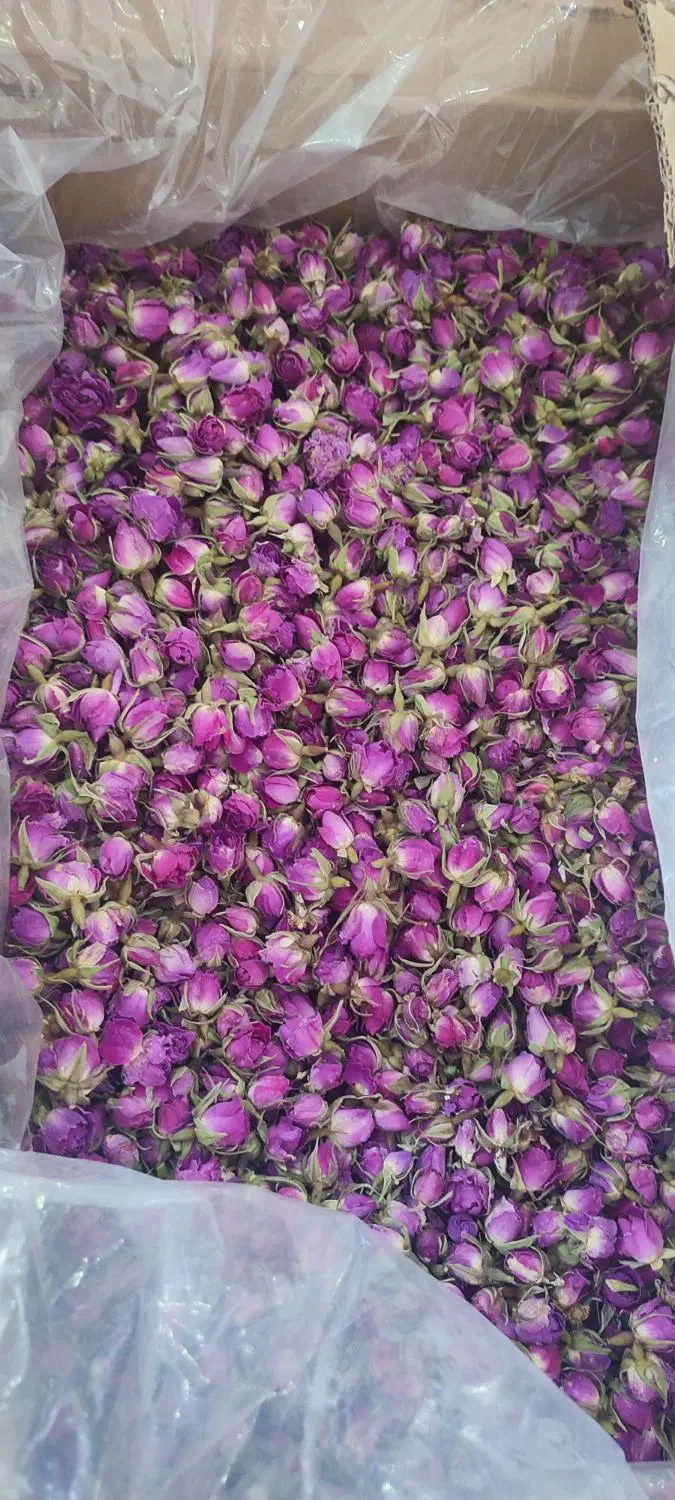 غنچه گل محمدی|خوردنی و آشامیدنی|تهران, تهرانسر شرقی|دیوار