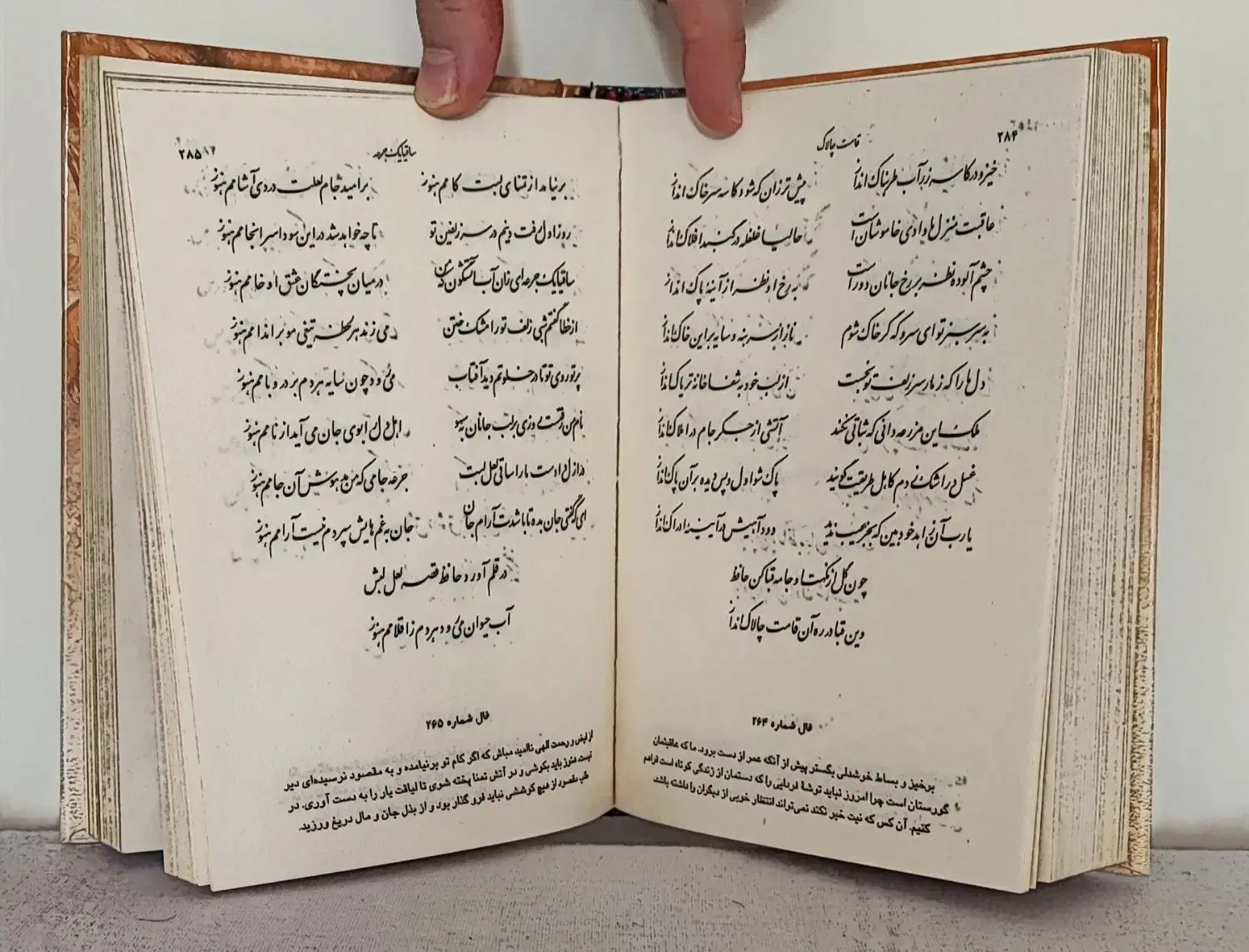 دیوان حافظ|کتاب و مجله ادبی|تهران, مشیریه|دیوار