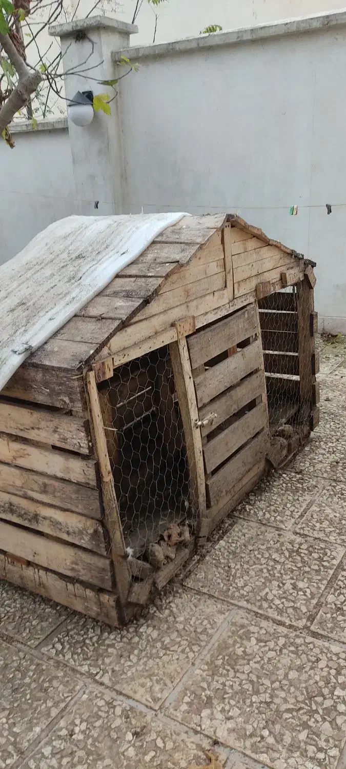 قفس مرغ و پرنده|لوازم جانبی حیوانات|رامسر, |دیوار