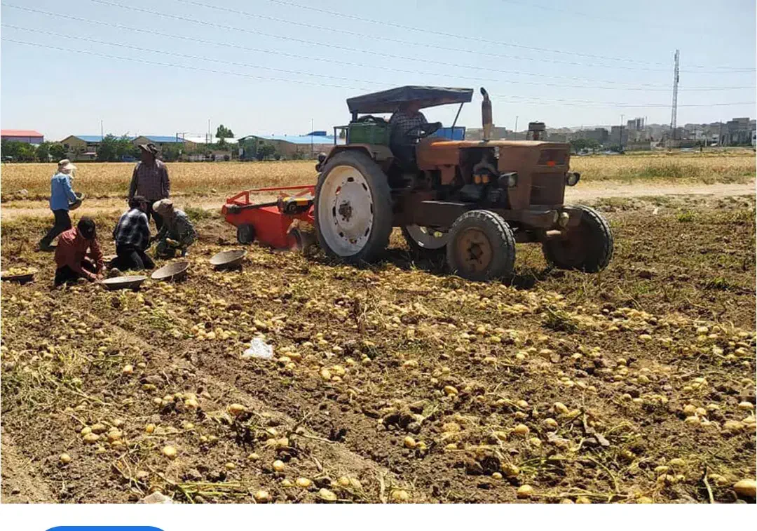 زمین کشاورزی|فروش زمین و ملک کلنگی|نیر (اردبیل), |دیوار