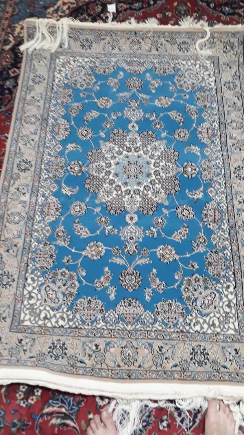 فرش ۶ لا نایین|فرش|اصفهان, خانه اصفهان|دیوار