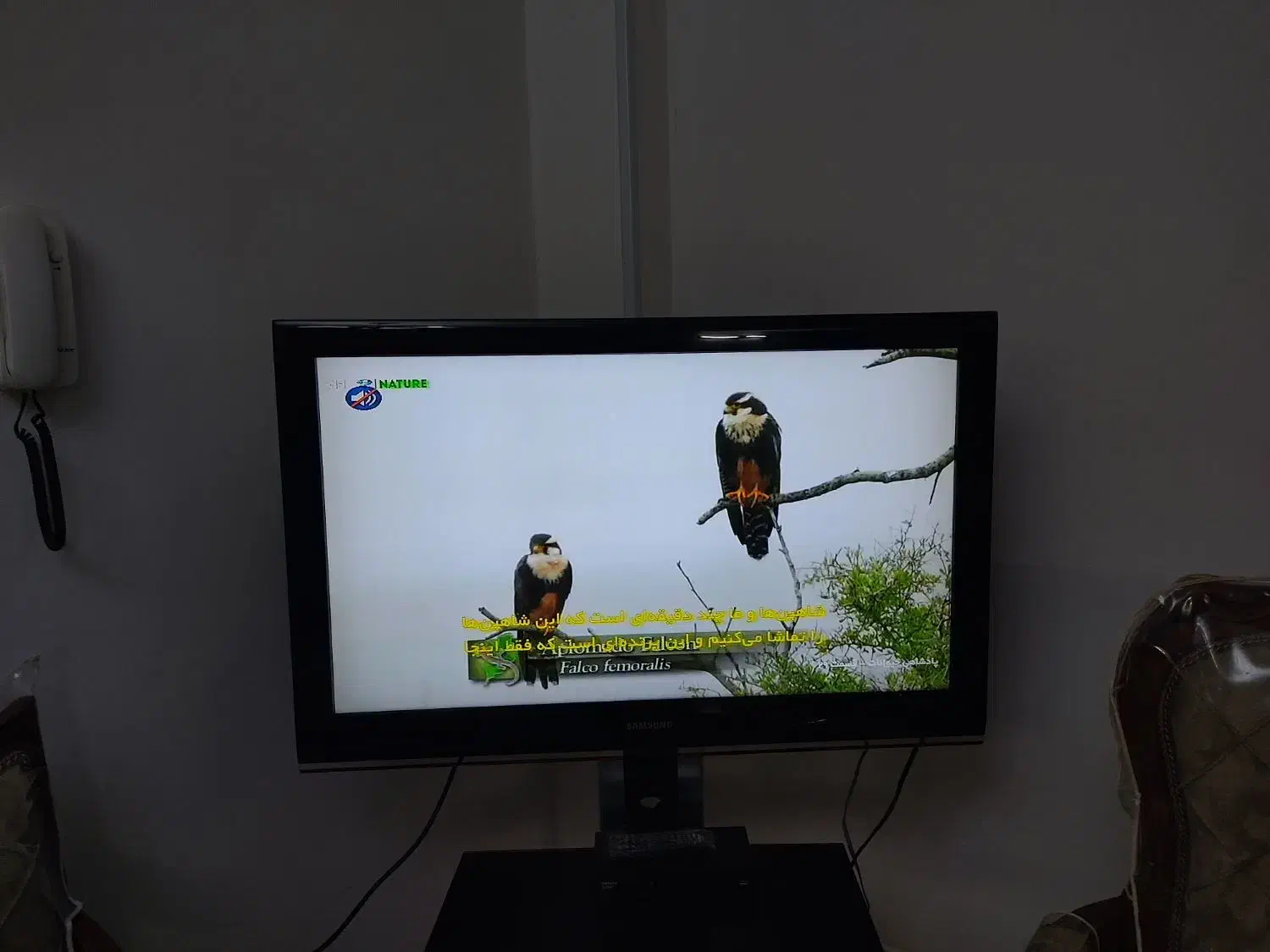 تلوزیون LCD|تلویزیون و پروژکتور|اصفهان, شهریار|دیوار