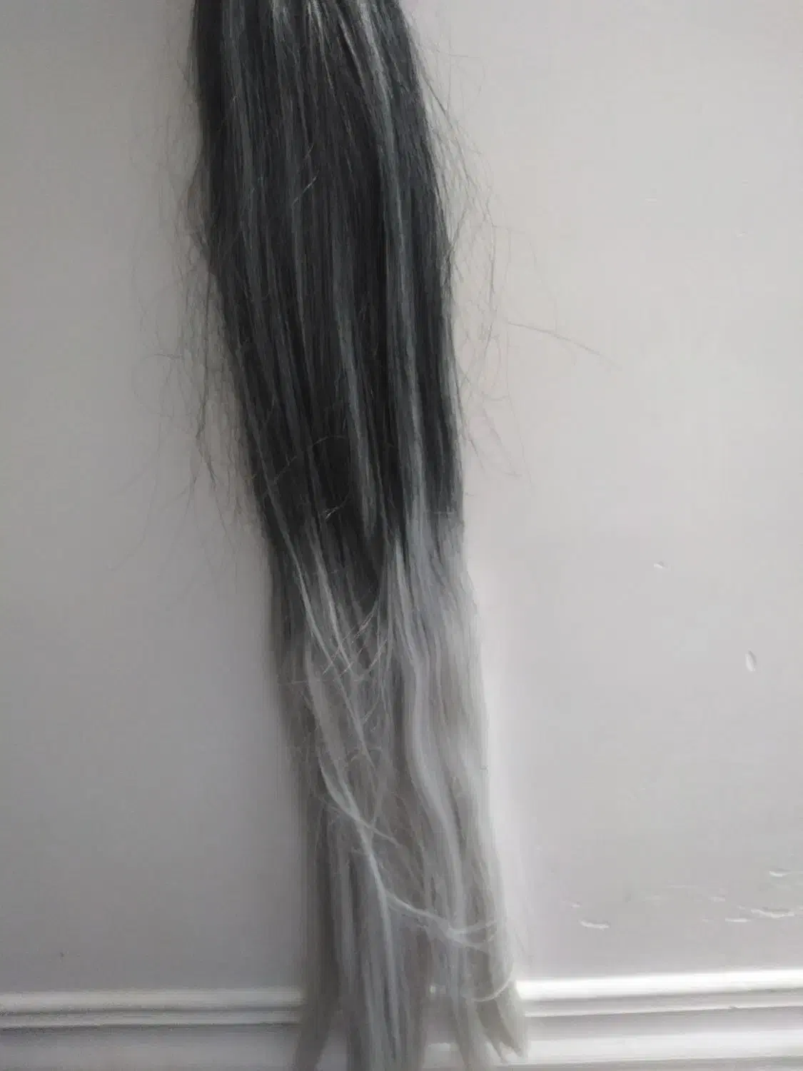 کلاه گیس|آرایشی، بهداشتی، درمانی|شیراز, سعدیه جنوبی|دیوار