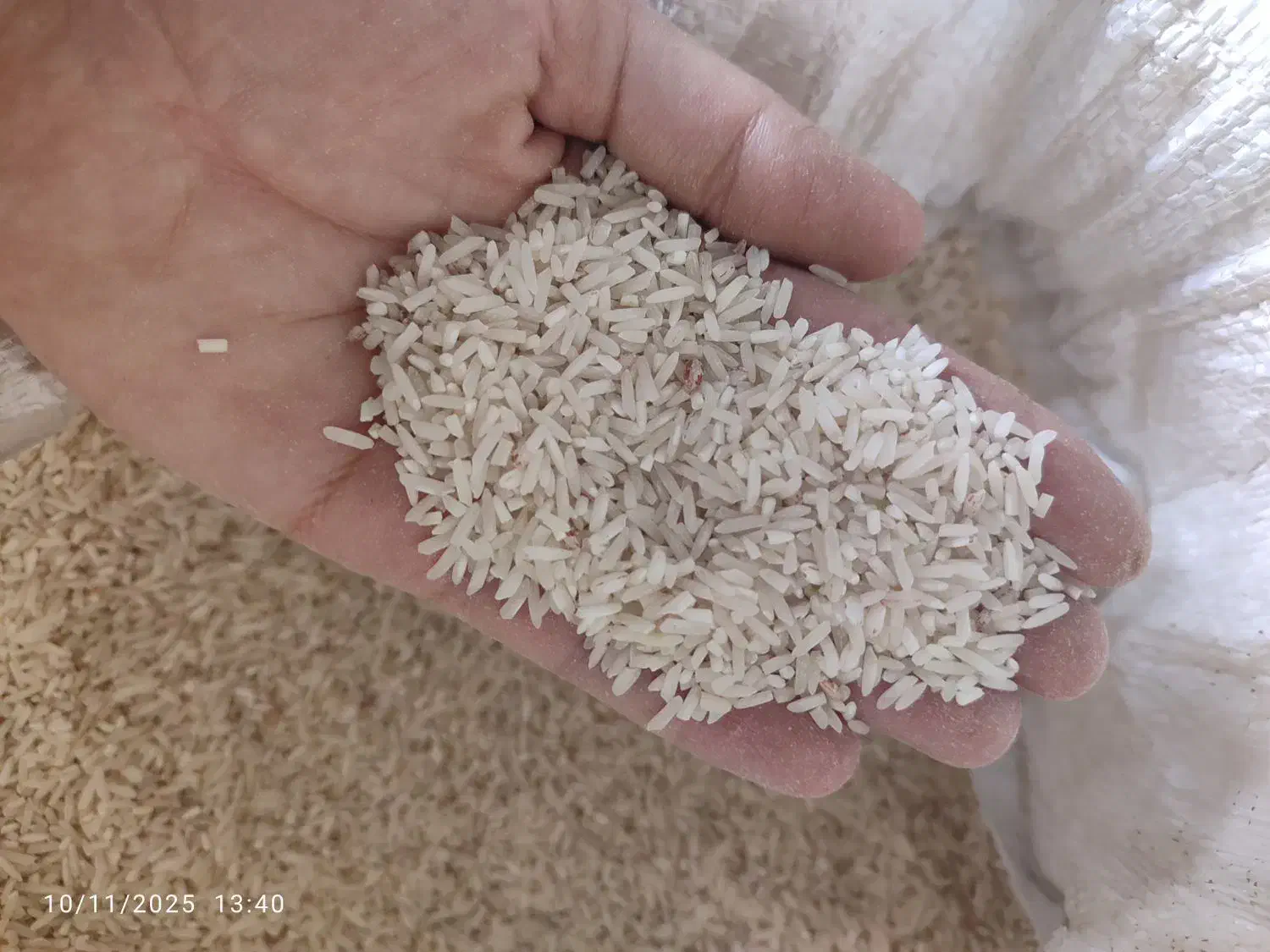 برنج چمپا بیدله|خوردنی و آشامیدنی|منج, |دیوار