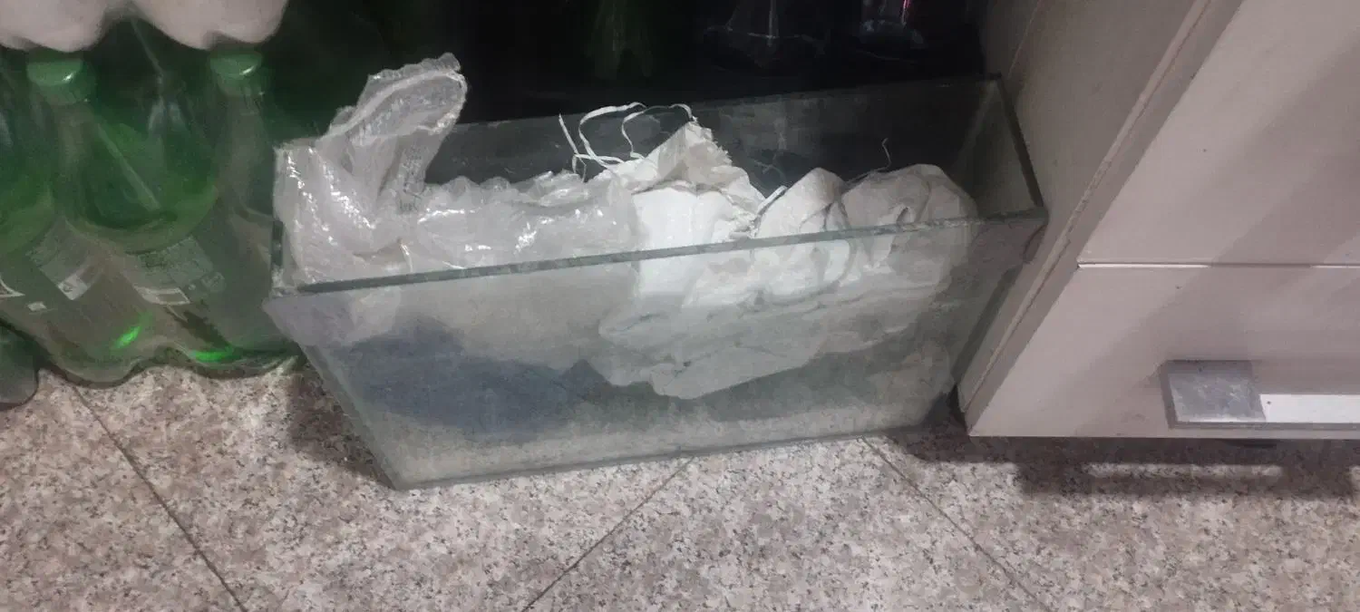 اکفاریوم|ماهی|مشهد, ویلاشهر|دیوار