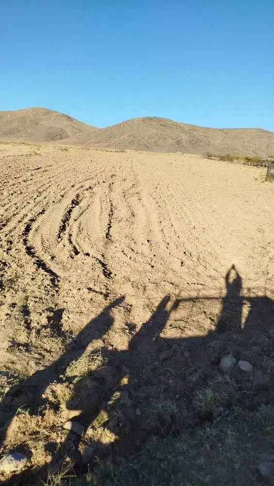 فروش زمین کشاورزی|فروش دفتر صنعتی، کشاورزی، تجاری|ماکو, |دیوار