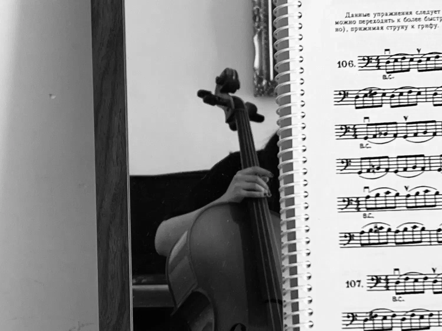 اموزش انلاین ویولن|خدمات آموزشی|تهران, دکتر هوشیار|دیوار