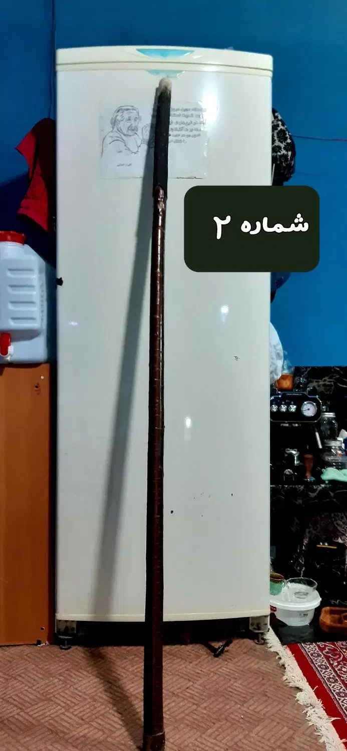 چوب دستی  البالو،بادام ،جنگلی|کلکسیون و سرگرمی|ساوه, |دیوار