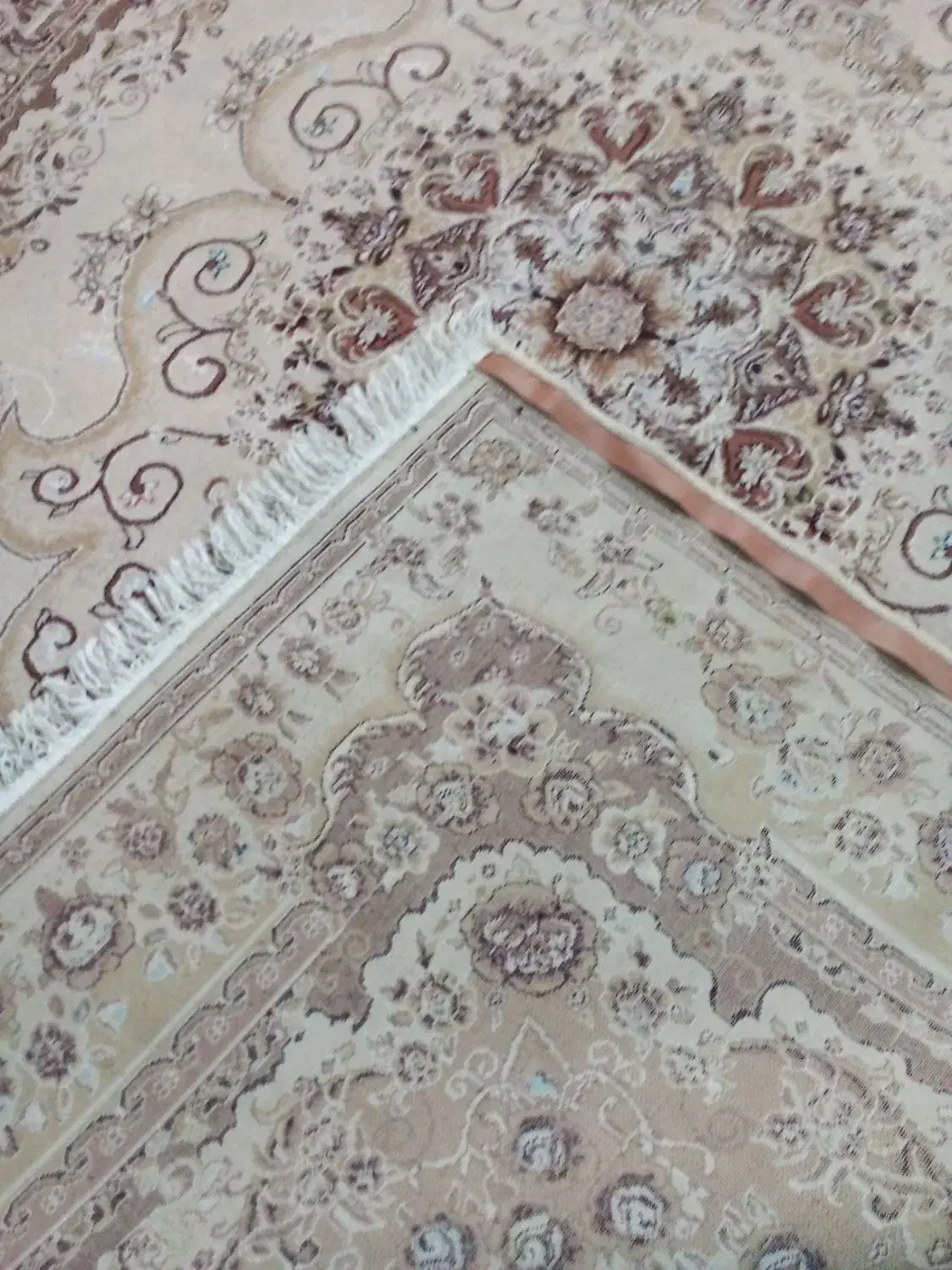 فرش کرمی تمام نخ|فرش|بروجرد, |دیوار