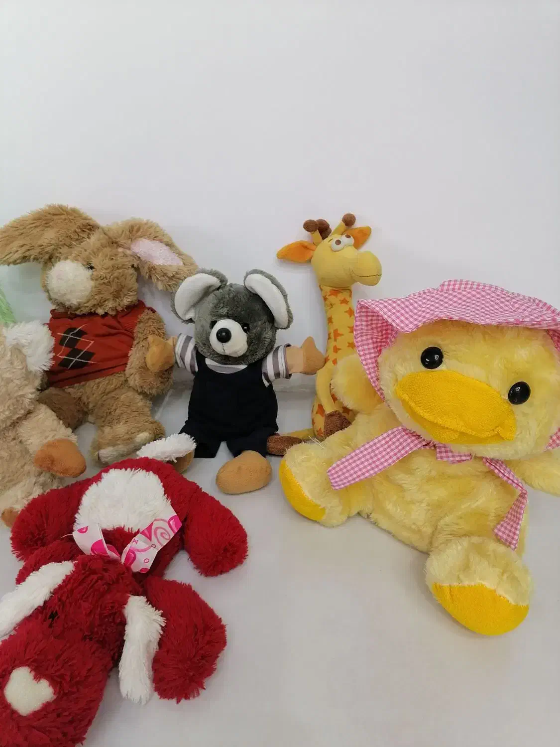 عروسک ها خارجی کنگان|اسباب‌بازی بچه|بندر کنگان, |دیوار