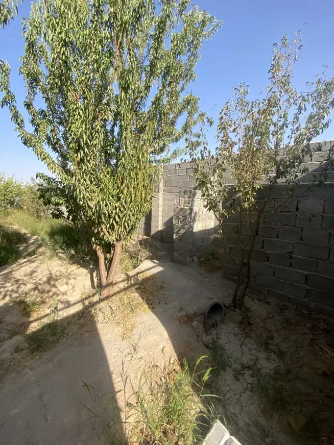 ۲۲۰ متر چهار دیوار با درخت ۱۰ ساله|فروش دفتر صنعتی، کشاورزی، تجاری|بهارستان, |دیوار