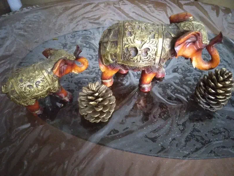 تور گردشگری|تور و چارتر|رشت, رودباری|دیوار