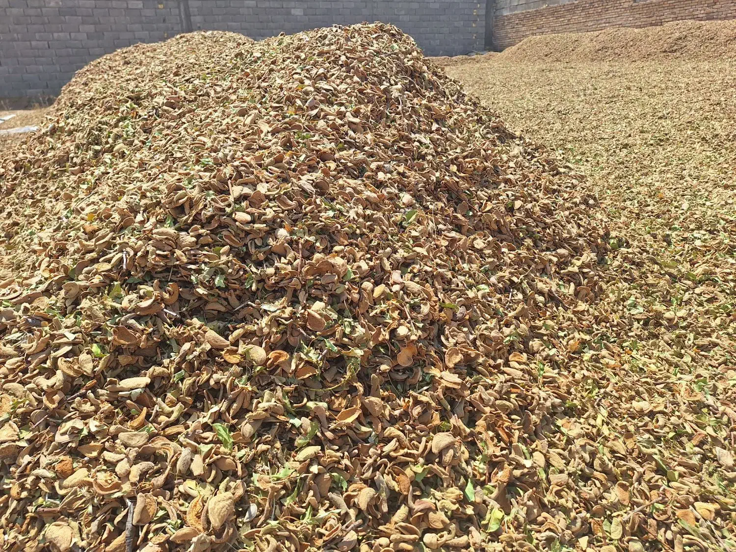 پوست بادام خشک|لوازم جانبی حیوانات|سامان, |دیوار