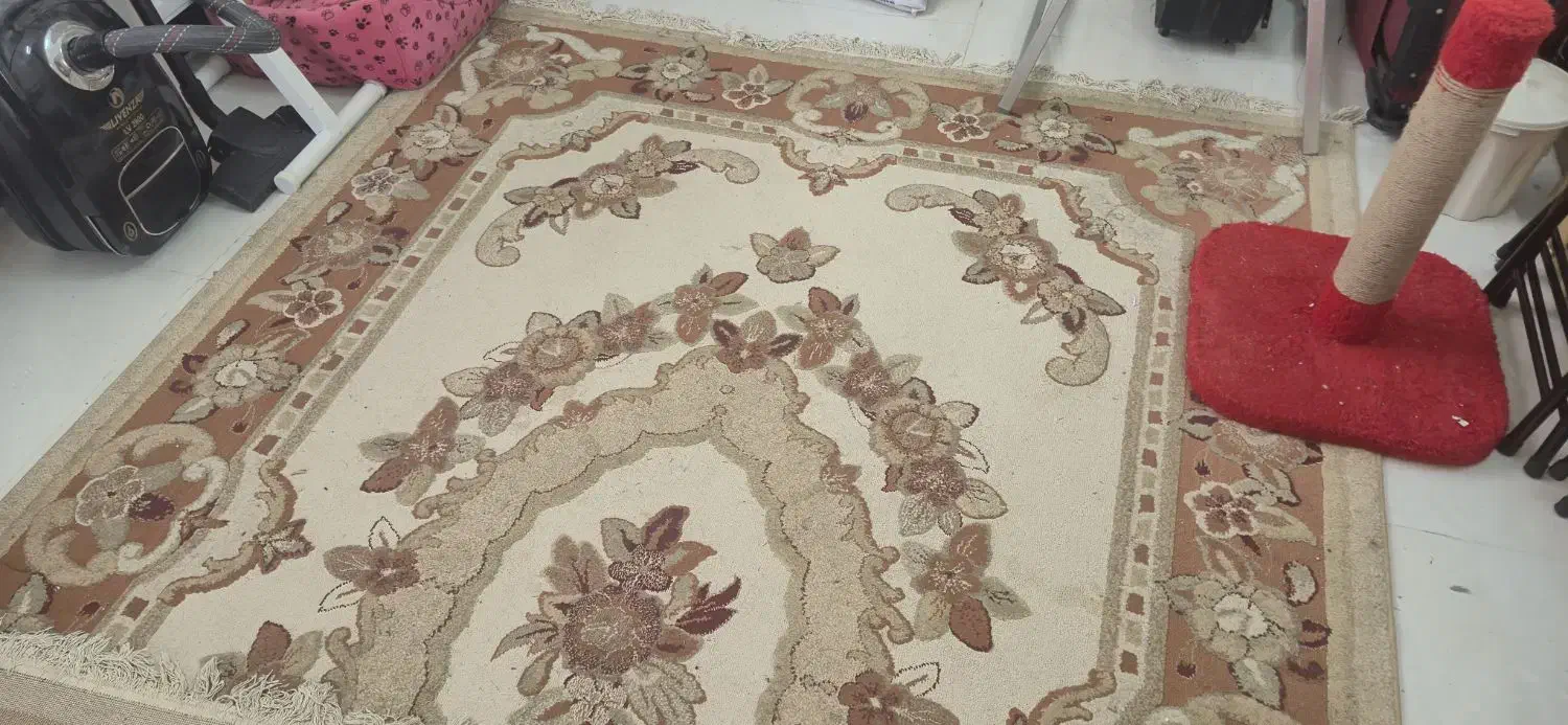 گلیم فرش|گلیم، جاجیم، گبه|مشهد, امیریه|دیوار