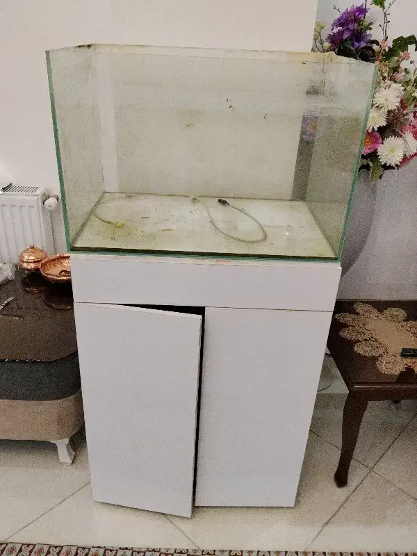 اکواریوم|ماهی|کرج, کمال‌شهر|دیوار