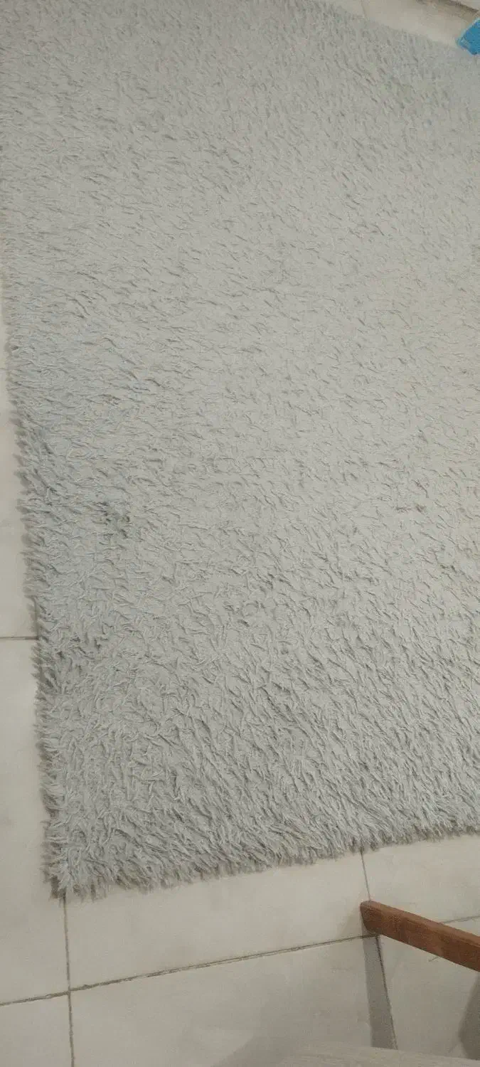 فرش شگی|فرش|ساوه, |دیوار