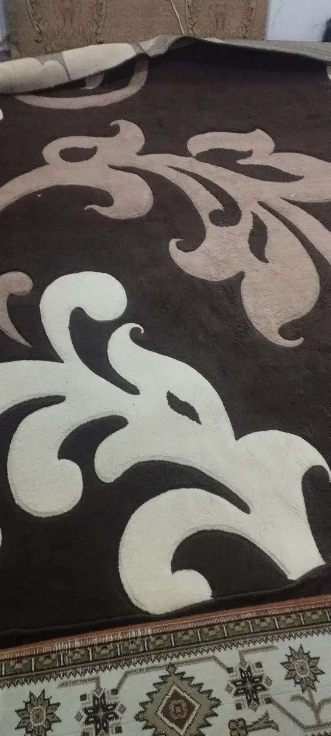 فرش 6متری|فرش|مرودشت, فرهنگ|دیوار