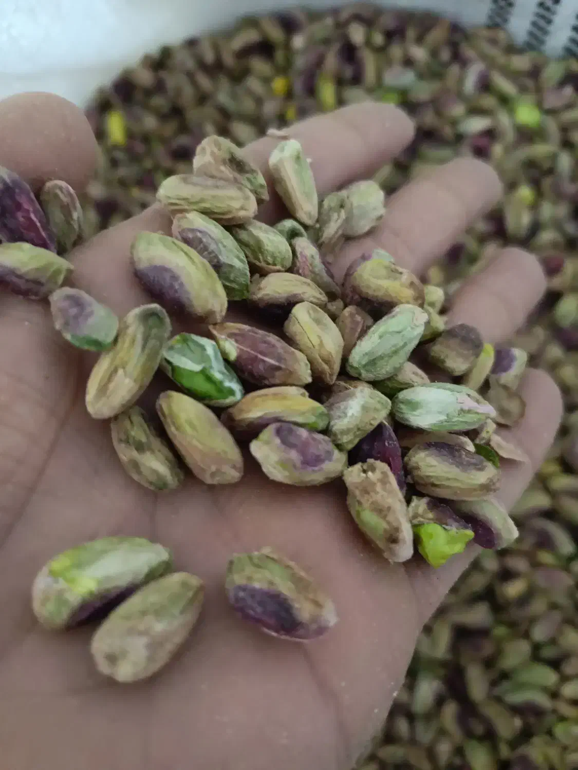 مغز پسته|خوردنی و آشامیدنی|قم, سراجه (۱۵ خرداد)|دیوار