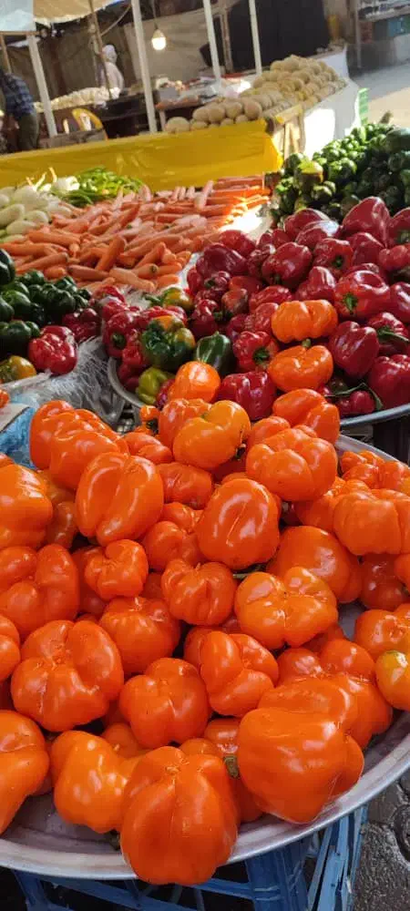 فروشنده خانم نیمه وقت|استخدام خدمات فروشگاه و رستوران|لاهیجان, لیالستان|دیوار